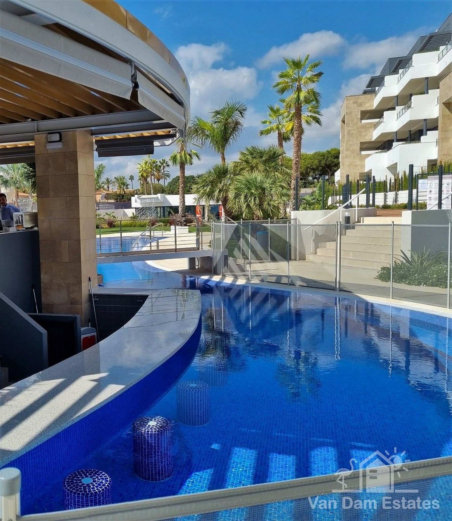 Zwembad bij de poolbar